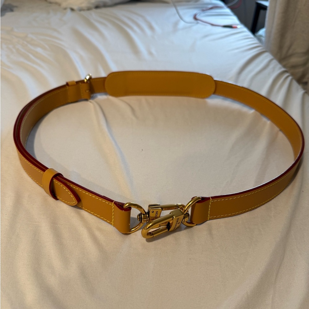 Louis Vuitton bag strap with gold hardware
